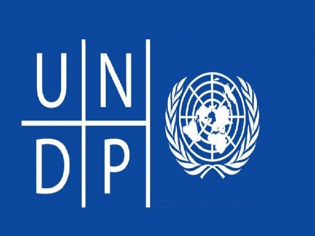 Sahi Disha: UNDP launches campaign to celebrate women’s livelihood in rural India